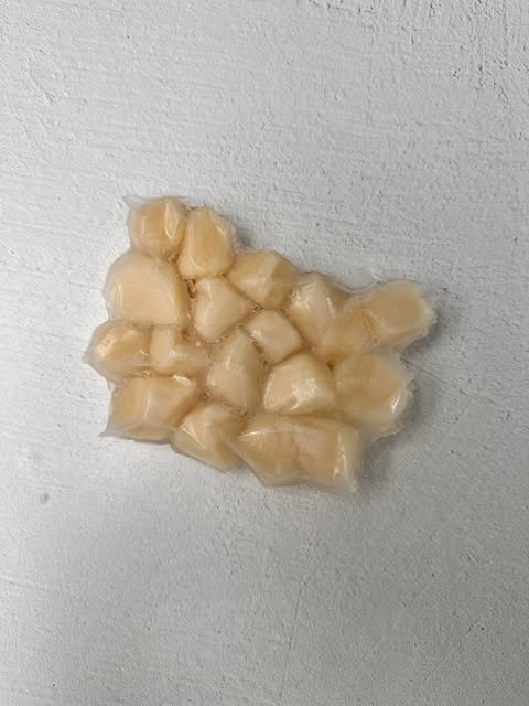Pétoncle Naturel IQF surg. - Chine