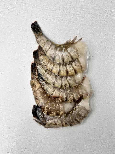 C. Crevettes tigrées  surg. 13-15